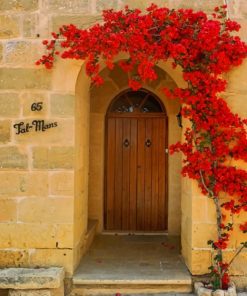 Brown Door With Flowers Paint By Numbers