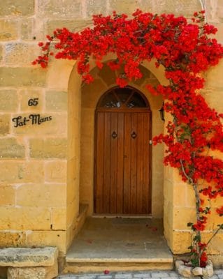 Brown Door With Flowers Paint By Numbers