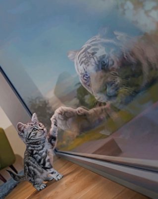 Cat Reflection paint by numbers