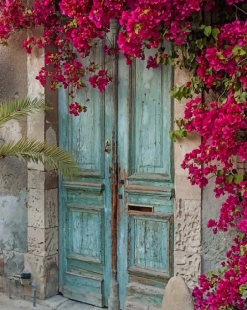 Old Doorways With Flowers paint by numbers