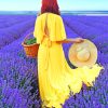 Woman In A Lavender Field Paint by numbers