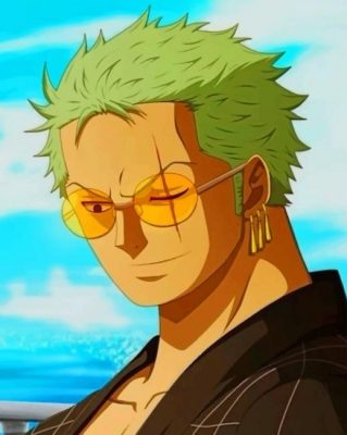 Zoro One piece Paint by numbers