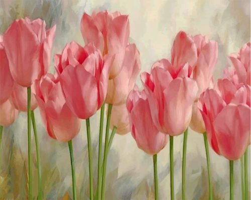 Pink tulips paint by number