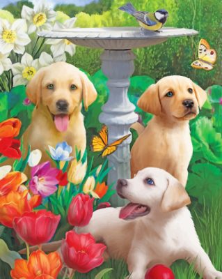 labradors in garden paint by numbers