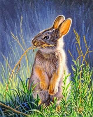 Bunny Rabbit paint by numbers