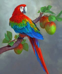 Apples And Parrot paint by nbumbers