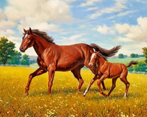 Horses In Meadow Paint by numbers