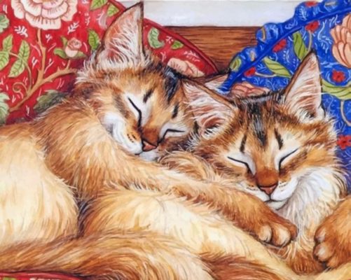 cats-sleeping-paint-by-numbers