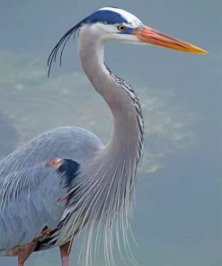 great-blue-heron-paint-by-numbers