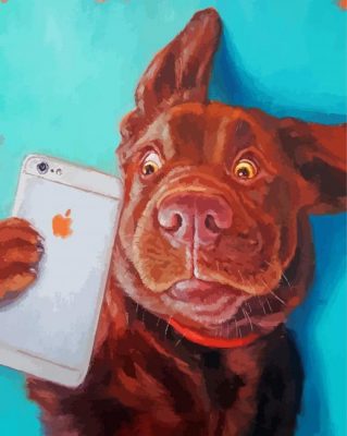 Dog Taking Selfie Paint by numbers