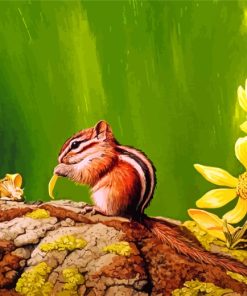 Colorado Chipmunk Paint by numbers