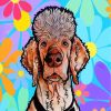 poodle-art-paint-by-numbers