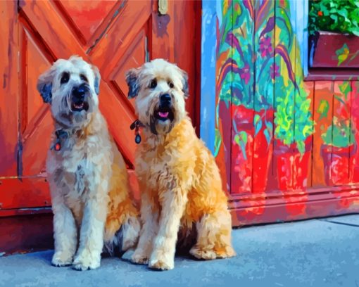 soft-wheaten-terriers-paint-by-numbers