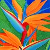 Bird Of Paradise Plant Paint by numbers