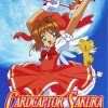 Cardcaptor Sakura Paint by number