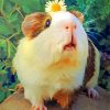 Guinea-Pig-and-flower-paint-by-numbers