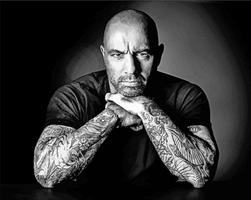 Joe-Rogan-black-and-white-paint-by-numbers