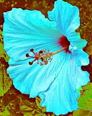Blue Hibiscus Flower paint by numbers