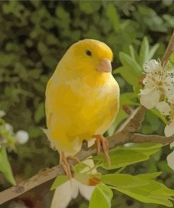 canary-bird-and-flower-paint-by-numbers