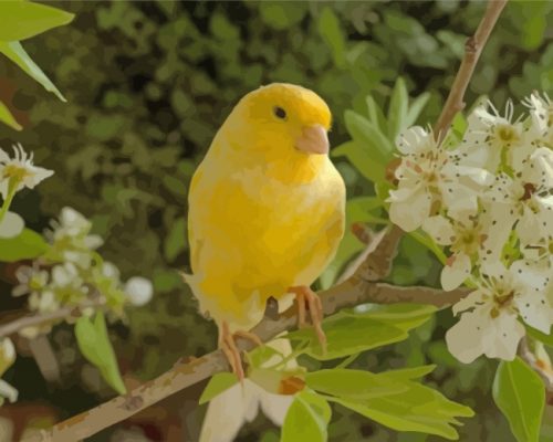 canary-bird-and-flower-paint-by-numbers