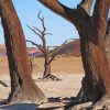 Dead Tree Desert paint by numbers