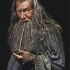 Gandalf Paint by numbers