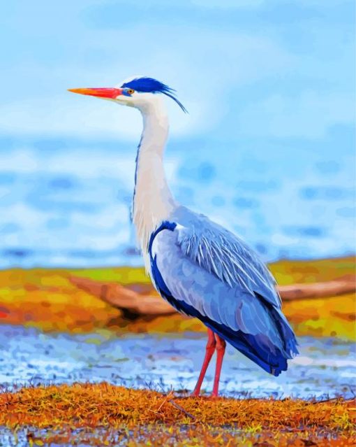 heron-bird-paint-by-number