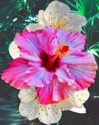 Hibiscus Flower paint by number