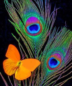 peacock-feathers-and-butterfly-paint-by-numbers