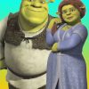 shrek-and-fiona-paint-by-number