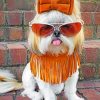 stylish-shih-tzu-paint-by-number