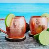 Moscow Mule Cocktails paint by numbers