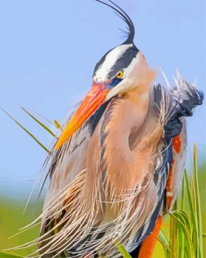 Blue Heron Bird paint by number