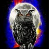 Galaxy Owl paint by numbers