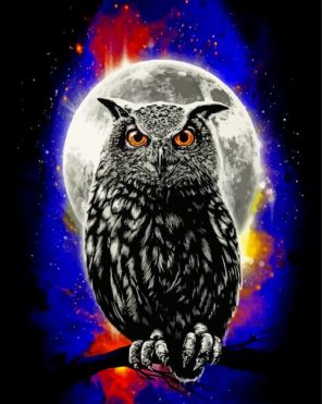 Galaxy Owl paint by numbers