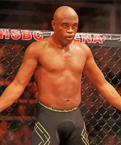 Anderson Silva paint by number