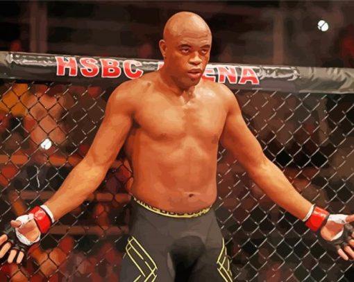 Anderson Silva paint by number