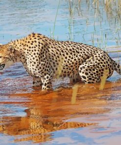 Cheetah In Water paint by number
