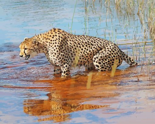 Cheetah In Water paint by number