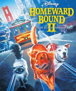 Homeward Bound Poster Art Paint by number
