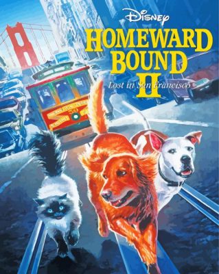 Homeward Bound Poster Art Paint by number