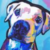 Abstract Pitbull Dog paint by number