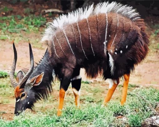 Aesthetic Nyala Animal Paint by number