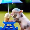 Baby Pig Eating Ice Cream paint by number
