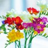 Beautiful Freesias paint by number