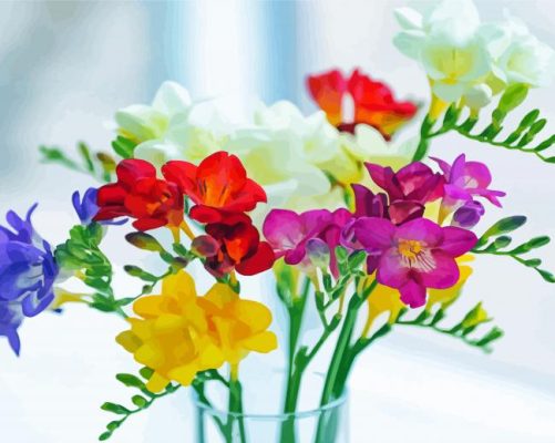 Beautiful Freesias paint by number