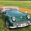 Green Triumph TR3A paint by number