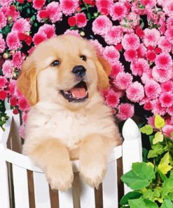 Aesthetic Puppy In Pink Flowers Illustration paint by number