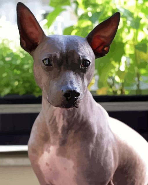 Aesthetic American Hairless Terrier Paint by number