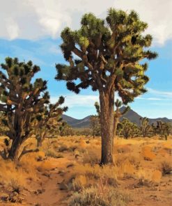 Aesthetic Joshua Tree National Forest paint by number